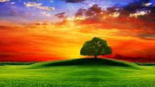 Hazırlayan Türk Oglu Öldürde Git