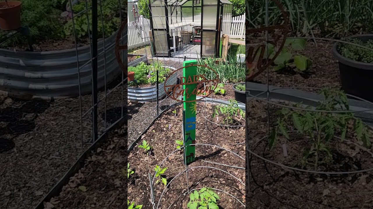 May 14, 2026 Backyard Gardening in New Jersey