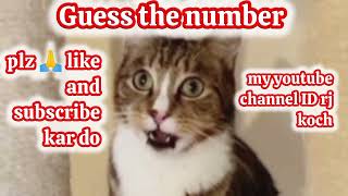 can guess the answer?🤔😯(Rj koch )