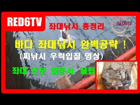 <strong>바다좌대낚시</strong> 꿀팁 및 완벽 공략! [Talk to Fish EP.2] (입질영상, 좌대낚시 잘하는법, 좌대낚시채비)