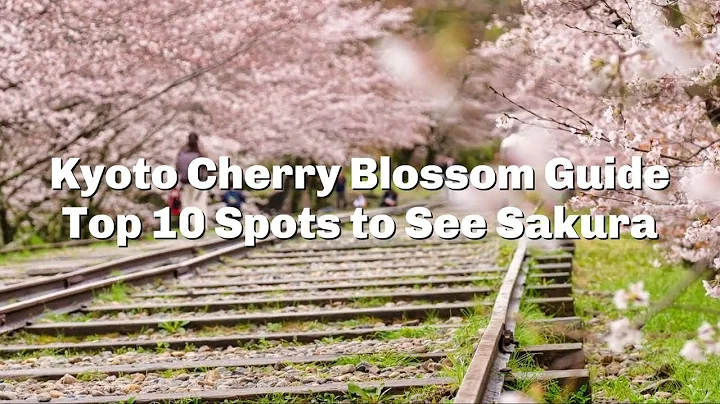 Top 10 Places for Cherry Blossoms in Kyoto - LIVE JAPAN