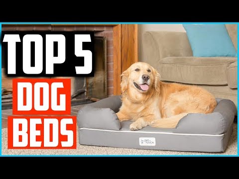 top-5-best--dog-beds-2020