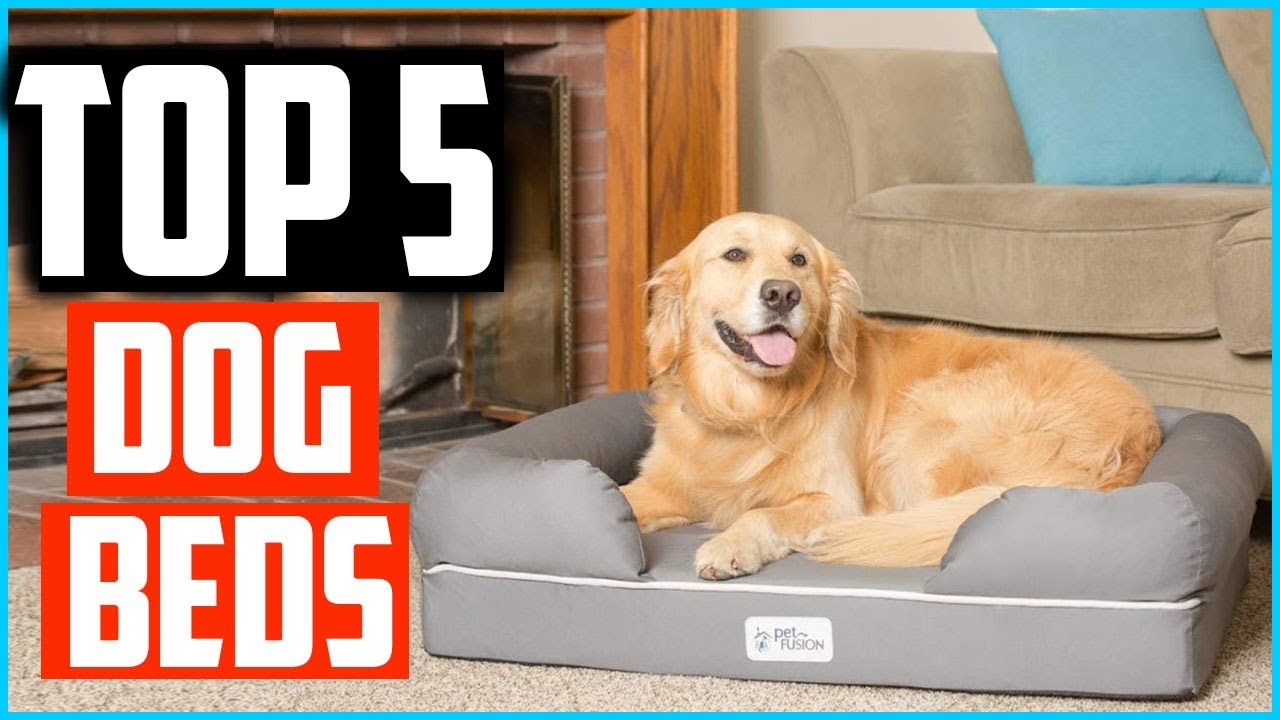 Top 5 Best Dog Beds 2023 YouTube