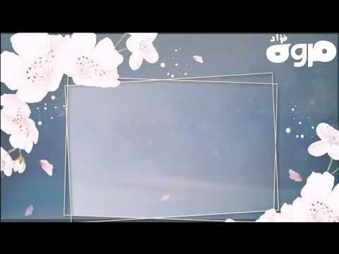 لو أمطرت الدنيا عشقا بدون موسيقي مع الكلمات