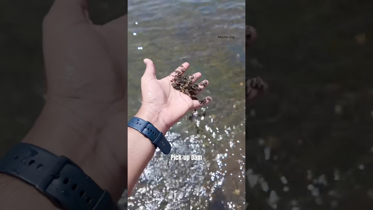 Pick-up Dam, Tiruvannamalai | Mourry vlog 