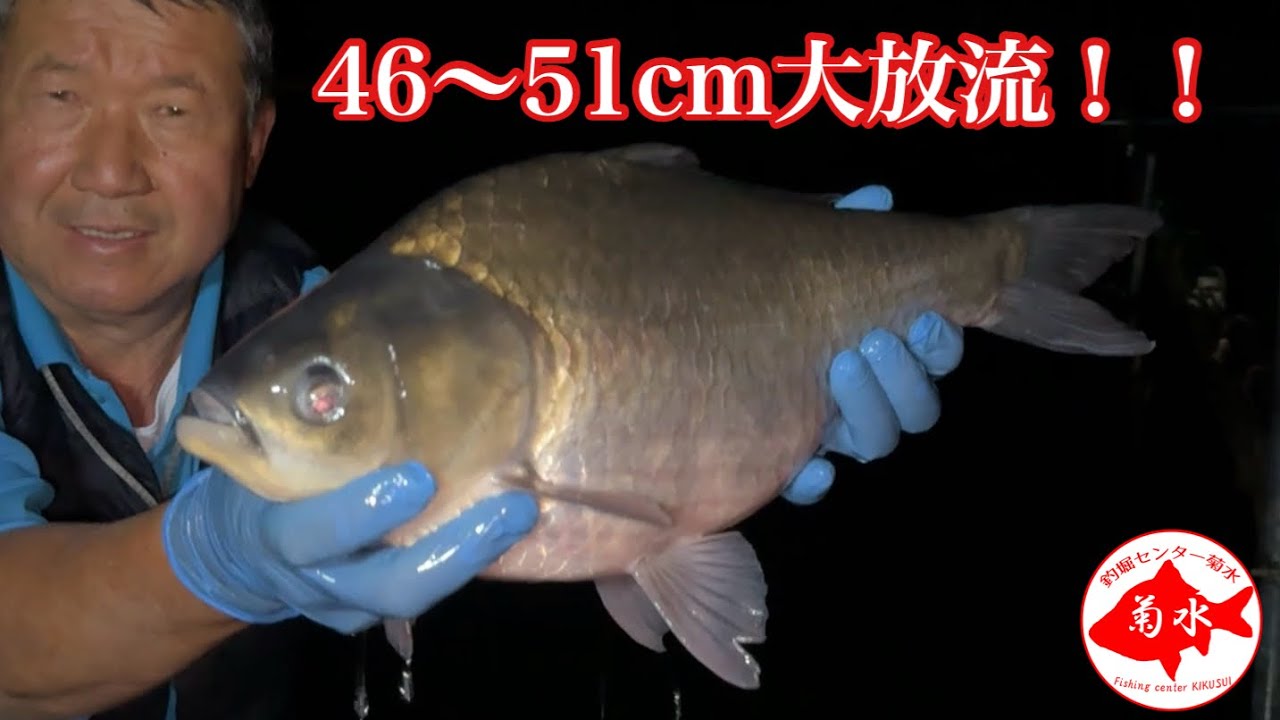 46〜51cm大放流！！