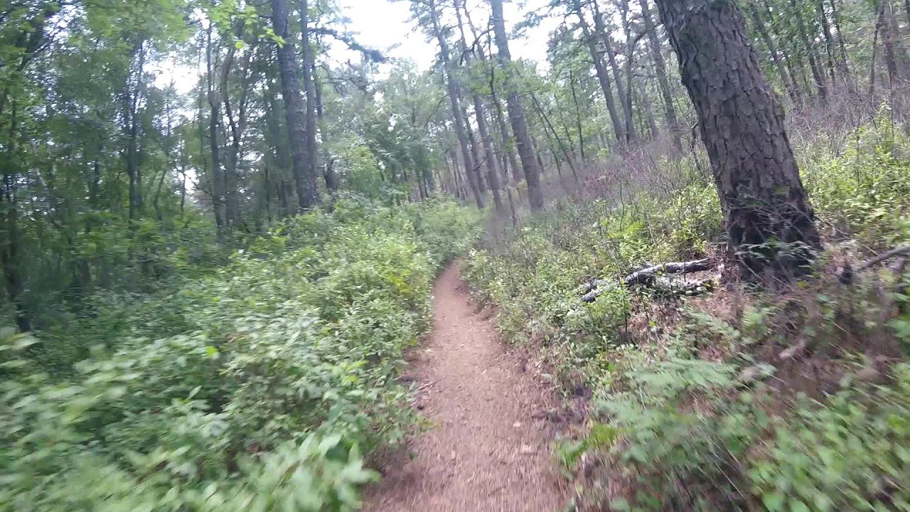Green Mountain Biking Trail at Batsto 2018 07 17 YouTube