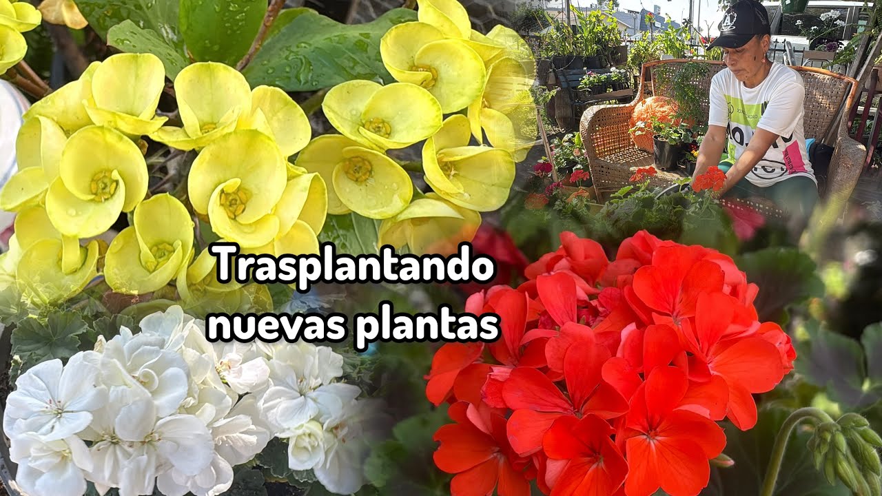 Preparando el jardín de mi mamá para  recibir la primavera con amor 🌸🥰