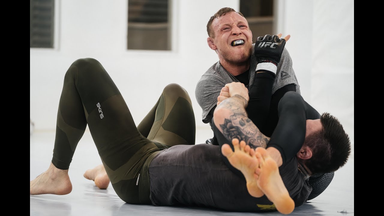 E35 - Jack Hermansson beats Jacare Souza