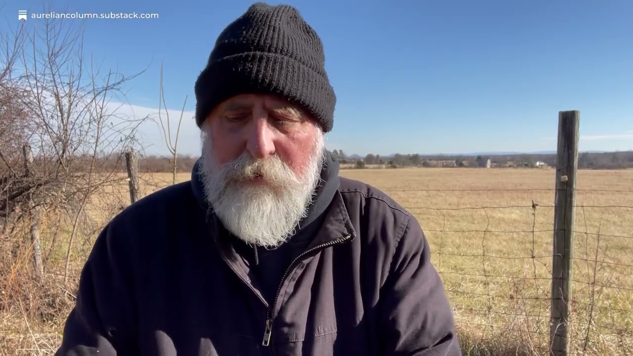 Monday Morning Report - 12 Jan 26 - VIDEO