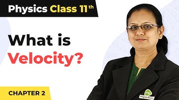 Velocity - Motion in a Straight Line | Class 11 Physics