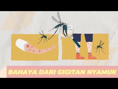 Jangan Sepele, Waspada Dengan Bekas Gigitan Nyamuk Pada Kulit