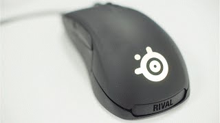 Steel Series Rival 300 In-Depth Review
