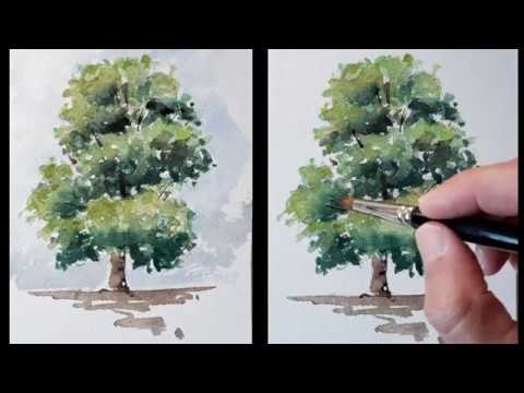 Pintando un árbol a la acuarela. Paso a paso. How to paint watercolor, a  tree for beginners. - YouTube