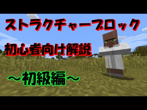 マイクラ ストラクチャーブロック取扱説明書 初級編 Youtube