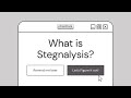 Steganalysis Explained: Detect Hidden Data in Images & Text 🔍