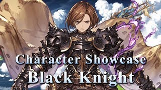 Featured image of post Black Knight Gbf No Armor
