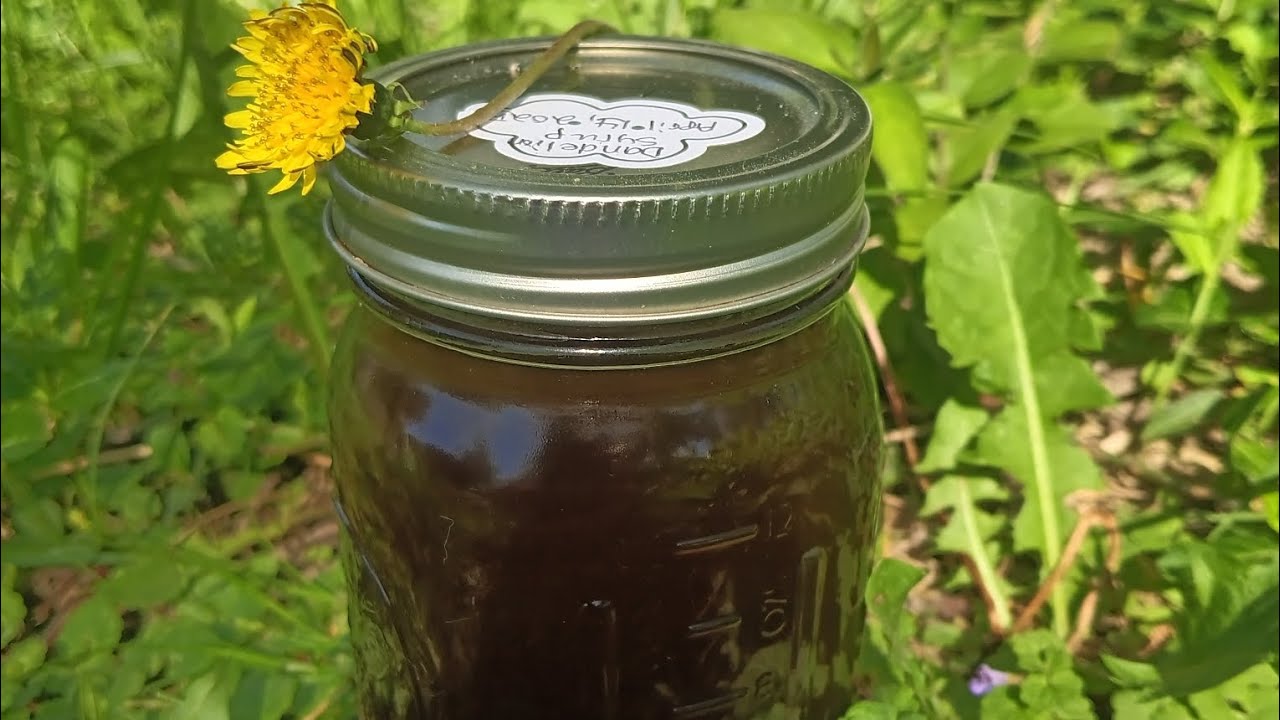 How to Make Dandelion Syrup | Step-by-Step Guide