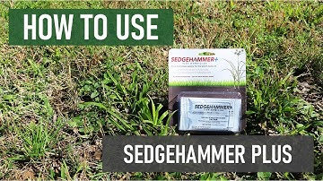 How to Use Sedgehammer Plus [Get Rid of Nutsedges Fast!]