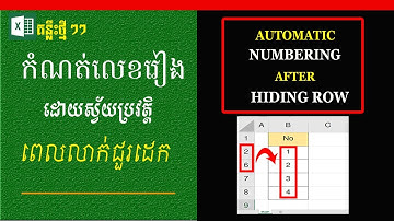 កំណត់លេខរៀងស្វ័យប្រវត្តិពេលលាក់ជួរដេក | Automatic Numbering after Hiding Row | Learn Excel | Excel