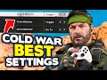 Black Ops Cold War BEST settings for CONSOLE (PS4) | Call of Duty Cold War Tips