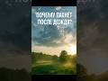 Почему пахнет после дождя? #запах #петрикор #фактыоприроде