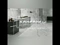 Стеновые панели КАМПАНЕЛИ