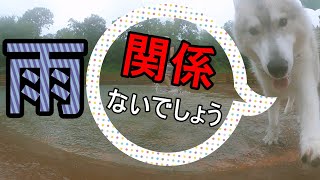 雨・・・関係ないぜぇ／It doesn't matter if it rains