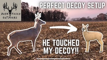 HOW TO SET UP THE PERFECT DOE DECOY (+VIDEO PROOF)