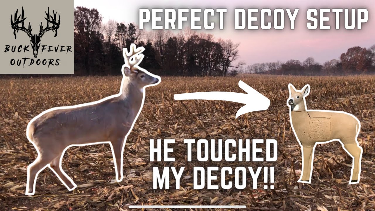HOW TO SET UP THE PERFECT DOE DECOY (+VIDEO PROOF) YouTube