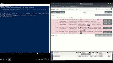 [pawpatrules.fr] BianLian C2 server detection with Suricata IDS/NSM engine