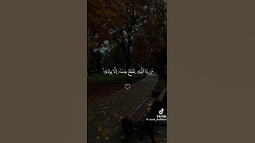 استمع القرآن الكريم واكتب يارب بنيه الفرج وتيسير الأمور #comedianmahmoudagamey #اكسبلور #محمودعجمي