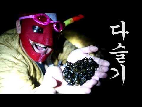 여름 <strong>특집</strong>!! 다슬기를 잡아 <strong>보자</strong>!!! melanian snail