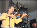 Siavash Zendegani Persian Violin موسیقی سنتی سیاوش زندگانی 