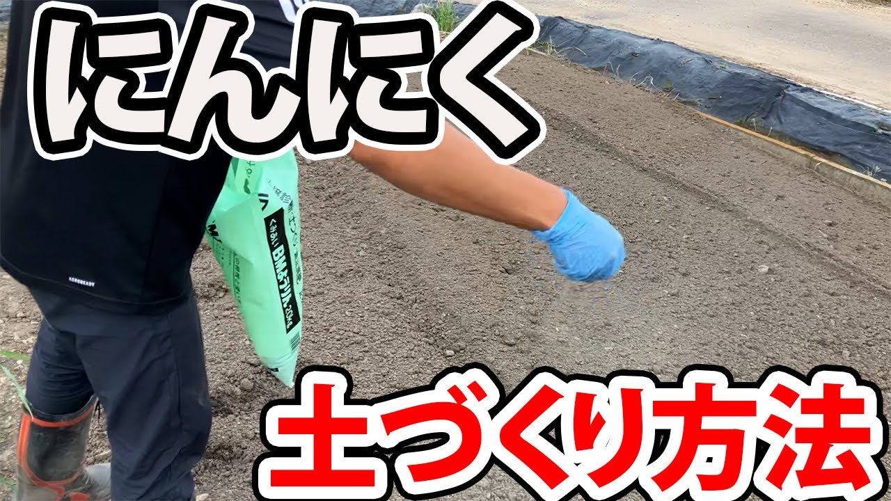 【にんにく】よく育つ土づくりの紹介　大きく丈夫なニンニクを育てるためには