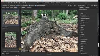 How to Rate Images in Adobe Bridge  for Final Portfolio screenshot 1