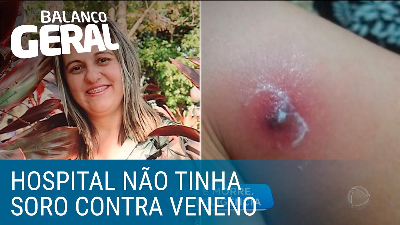 Mulher picada por aranha morre após hospital não aplicar soro