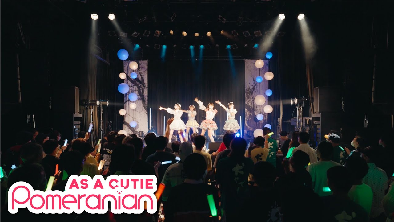 LIVE MV】リトル・ボーイ・ブルー/As a Cutie Pomeranian (あずぽめ