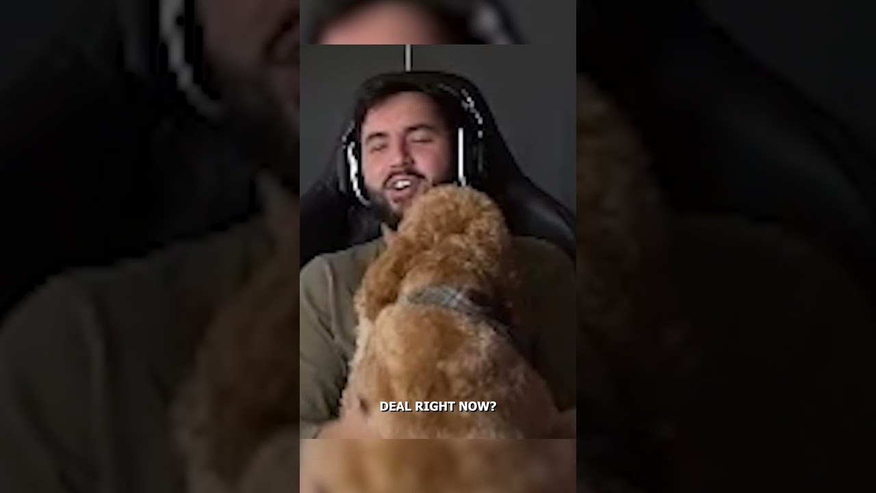 Dog comforts raging streamer