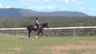 gigs flatwork