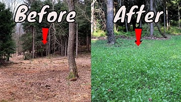 Learn How To Make A Food Plot With No Heavy EQUIPMENT!!