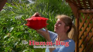 Introducing the Humm-Bug!
