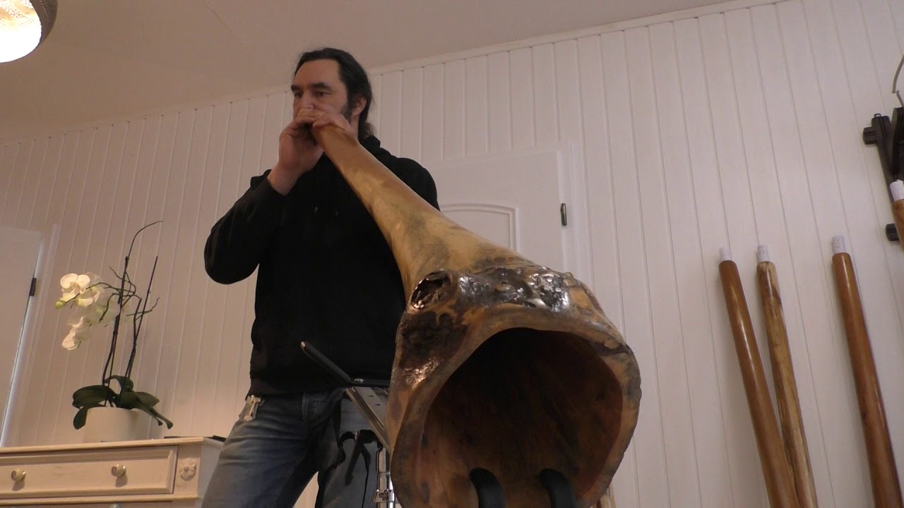 DEN2