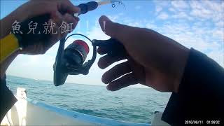 釣魚 一支釣 洋天66 淡水 1051119