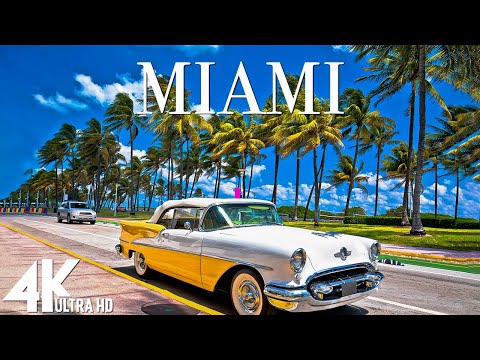 MIAMI Relaxing Music Along With Beautiful Nature Videos