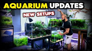 AQUARIUM UPDATES: THE NEW SETUPS & MAINTENANCE | MD FISH TANKS