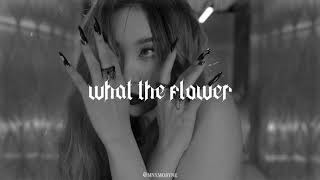 sunmi - what the flower (𝙨𝙡𝙤𝙬𝙚𝙙 + 𝙧𝙚𝙫𝙚𝙧𝙗)