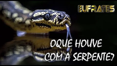 O que é serpente falou para Eva?