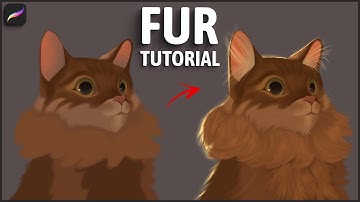 Fur Tutorial | In-Depth Class | Procreate Tutorial