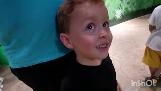 Şişenin Içinde Dev Piton Yılanı